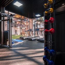 Фото Отель Wellness Hotel and Spa (Велнесс)