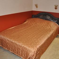 Фото Отель Мега