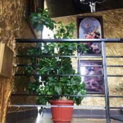 Фото Отель Арбат