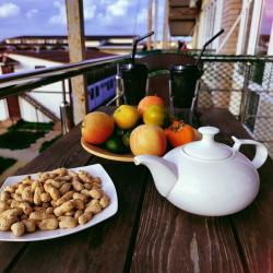 Фото Отель Благовещенка