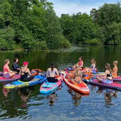 Фото Отель Шишкино-парк аэропорт Домодедово