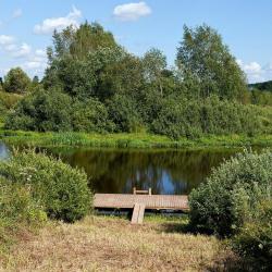 Фото Отель Усадьба Родное