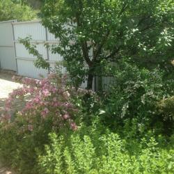 Фото Отель Green House (Зеленый дом)