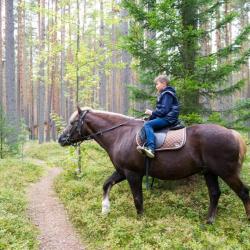 Фото Отель Загородный клуб Дача