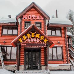 Фото Отель Теремок