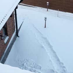 Фото Отель Домашняя на Свободы 19А