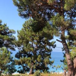 Фото Отель Саучи