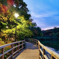 Фото Апартаменты на Оржевского, 6А