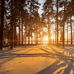 Фото Отель Загородный клуб Лесная сказка