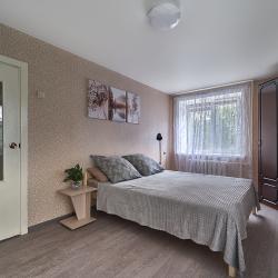 Фото Апартаменты АН Борисов на улице Курчатова 22А