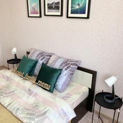 Фото Отель Rental Family Rooms (Рентал Фэмили) на Московском проспекте 215