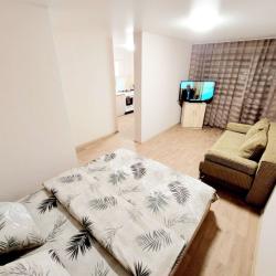 1-комнатные апартаменты студия