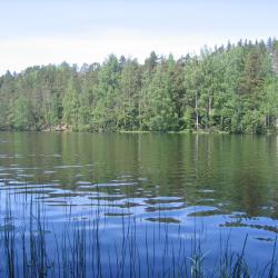Фото Отель Связист