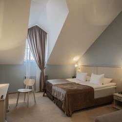 Номер делюкс, корпус Домъ купчихи Телушкиной