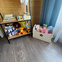 Фото Отель Лесная ягода