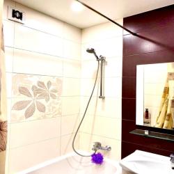 1-комнатные апартаменты улучшенные