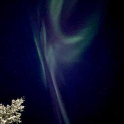 Фото Отель Лапландия