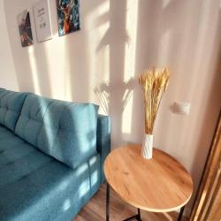 1-комнатные апартаменты студия