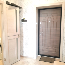 Фото Апартаменты на улице Пухова 31