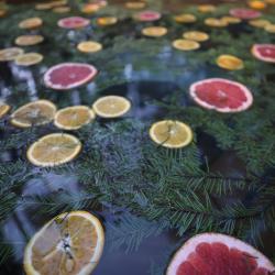 Фото Отель ДухЛес