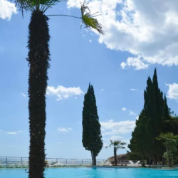 Фото Парк-отель Московский