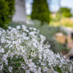 Фото Отель Шале Восточное