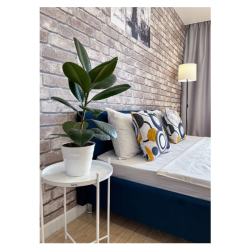 Фото Отель ZebraHome (ЗебраХоум) на Приморском бульваре