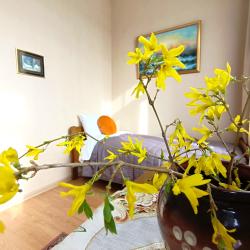 Фото Отель Origami на улице Ленинградская 2