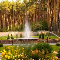 Фото Отель Сосновый бор