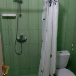 Фото Отель Ника