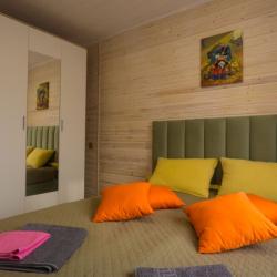 Фото Отель Утиная история