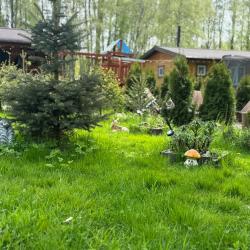 Фото Отель Рай в шалаше