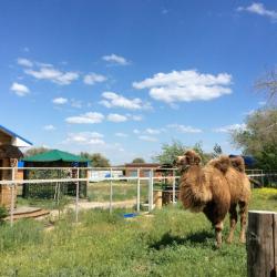 Фото Отель Рыбацкие просторы