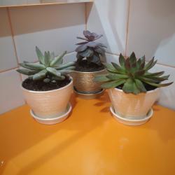 Фото Отель Ayhan Hotel (Айхан)