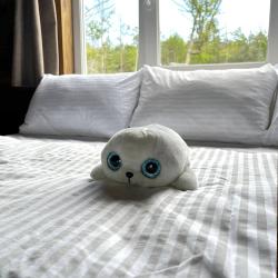 Коттедж стандарт