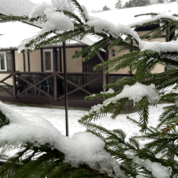 Фото Отель Коттедж Шалле