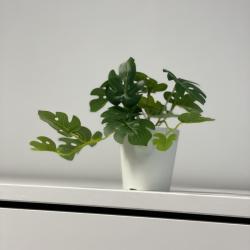 Фото Апартаменты на улице Рознина