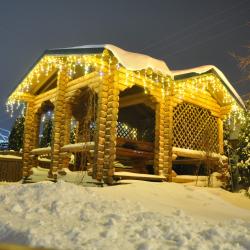 Фото Отель Лукоморье