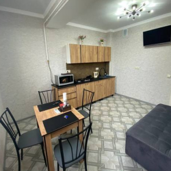 Фото Апартаменты Apart MV (Апарт МВ) на улице Новосёлов 5 к2