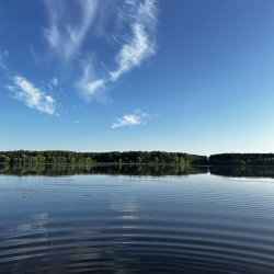 Фото Отель Домики и доски