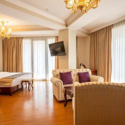 Фото Отель Panorama Lisi Grand Hotel (Панорама Лизи Гранд)