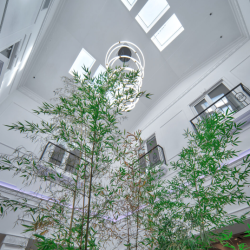 Фото HATTI APART HOTEL (Хатти Апарт-отель)