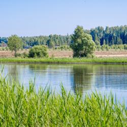 Фото Отель Дом Green House (Грин Хаус) у воды