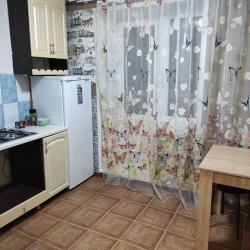 Фото Апартаменты на улице 2-я Новая 68