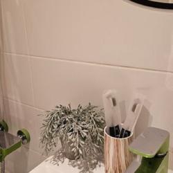 Фото Апартаменты 