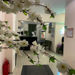 Фото Отель Олива