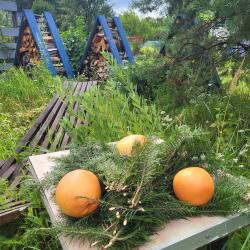 Фото Отель Чудесноe мeсто