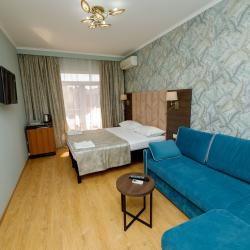 Номер делюкс с 1 двуспальной кроватью (вид на бассейн)