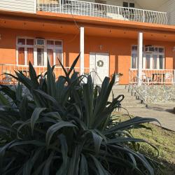 Фото Отель Гостевой дом Петрович