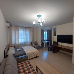 Стандартная квартира с 1 спальней